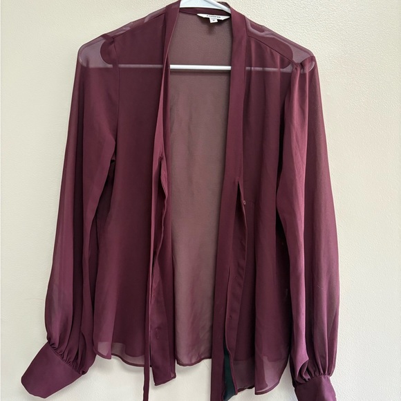 Express Tops - Express Sheer Plum Blouse